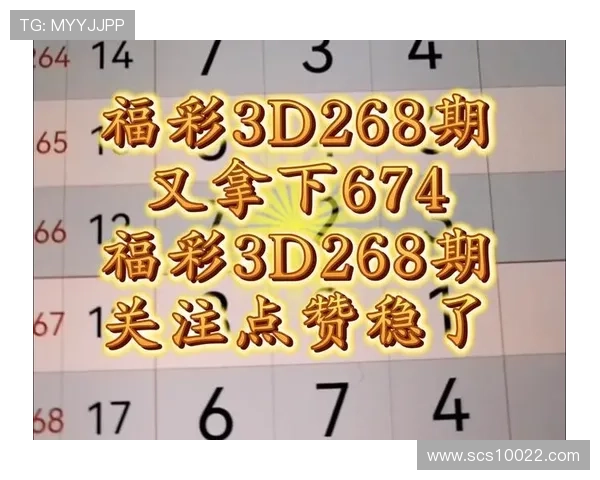 东莞福彩开奖结果今日揭晓，幸运号码震撼公布